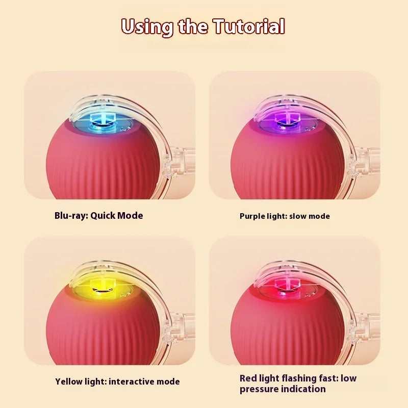 Funny Rechargeable Pet Ball Toy! (50% OFF Today)