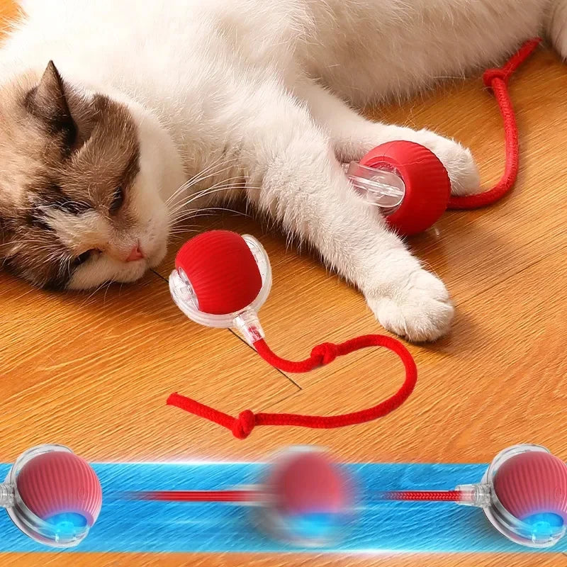 Funny Rechargeable Pet Ball Toy! (50% OFF Today)