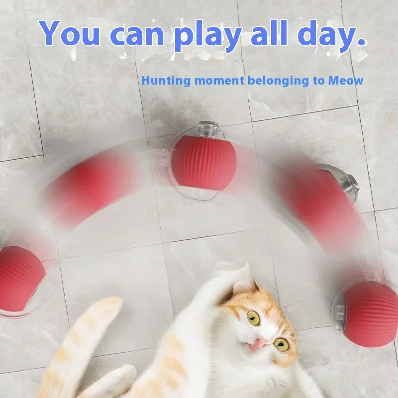 Funny Rechargeable Pet Ball Toy! (50% OFF Today)