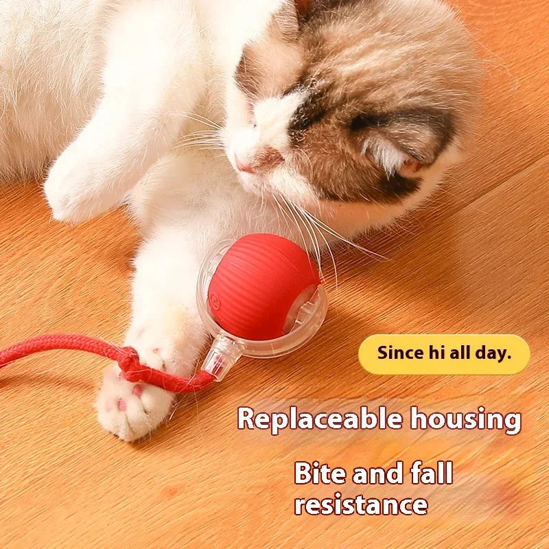 Funny Rechargeable Pet Ball Toy! (50% OFF Today)